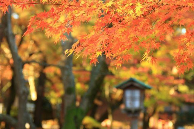 Kanazawa Machiya Inn Hana Екстер'єр фото